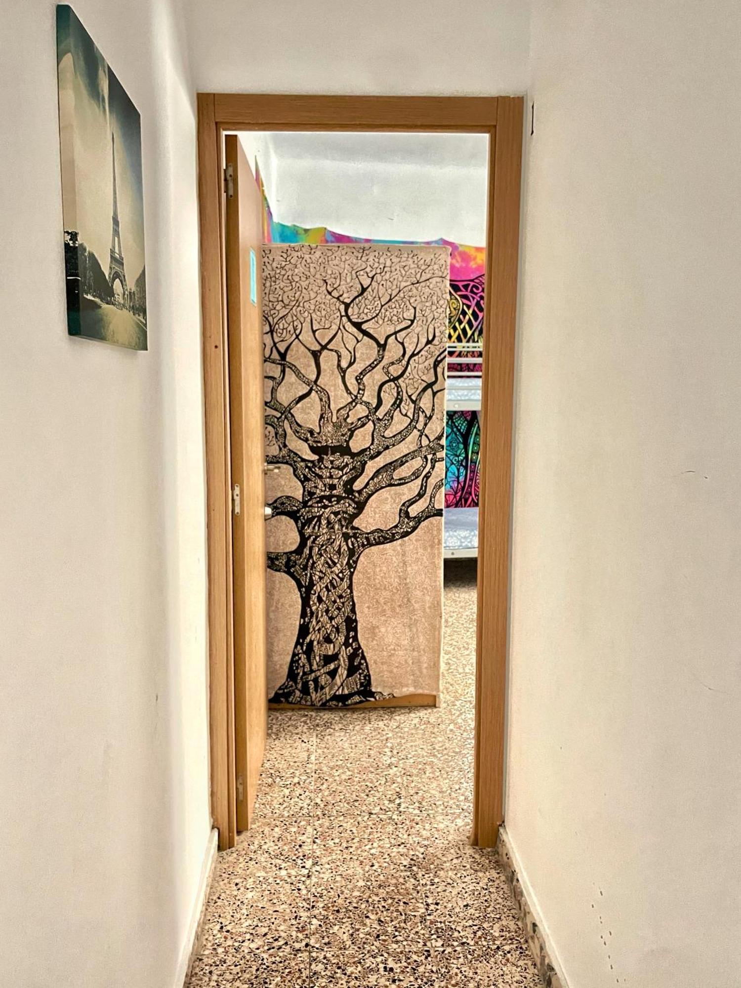 Habitación compartida femenina - 6 camas